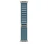 Kép 3/3 - Okosóra Apple Watch Ultra 3 Cellular 49mm Natural Titanium Case with Light Blue Alpine Loop - Medium