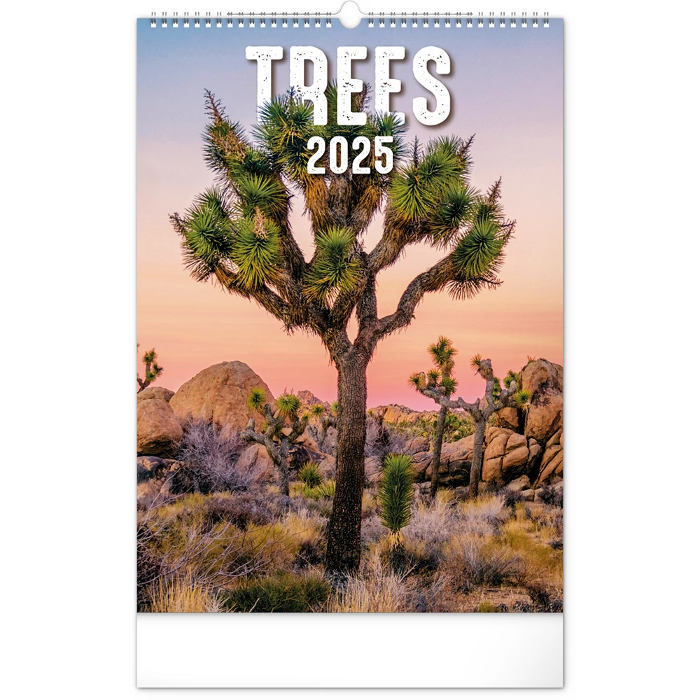 Falinaptár képes  330×460mm Trees  Realsystem 2026.