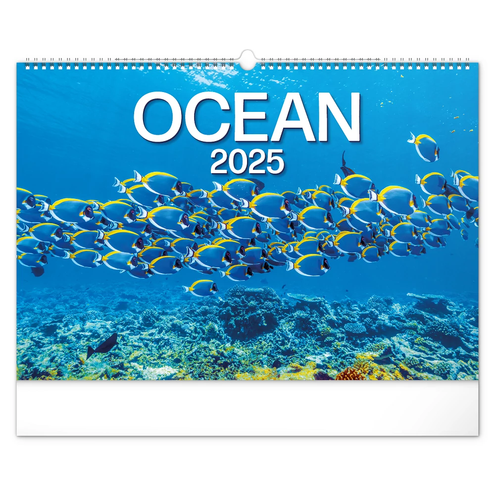 Falinaptár képes  480×330mm Ocean Wildlife Realsystem 2026.