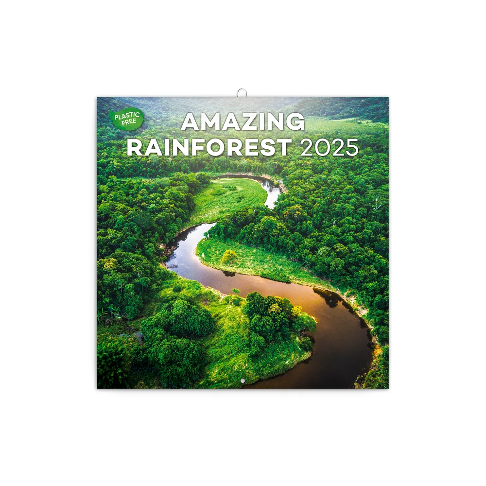 Falinaptár képes lemeznaptár 300x300mm, Amazing Rainforest Realsystem 2026.