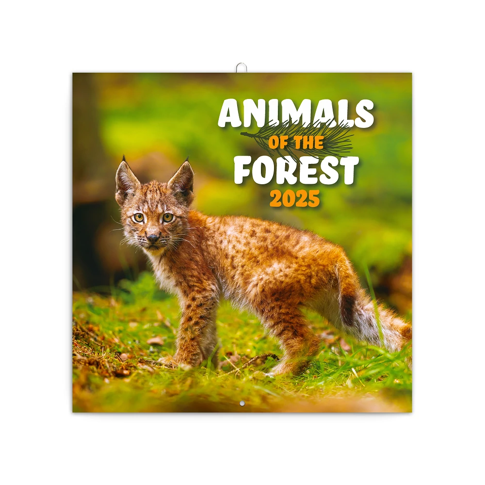 Falinaptár képes lemeznaptár 300x300mm, Endangered Animals Realsystem 2026.