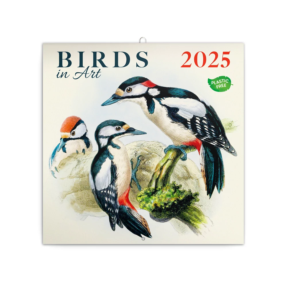 Falinaptár képes lemeznaptár 300x300mm, Birds in Art Realsystem 2026.