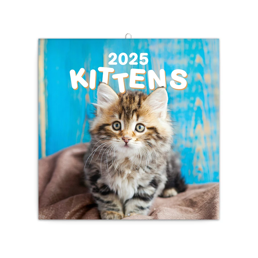 Falinaptár képes lemeznaptár 300x300mm, Kittens Realsystem 2026.