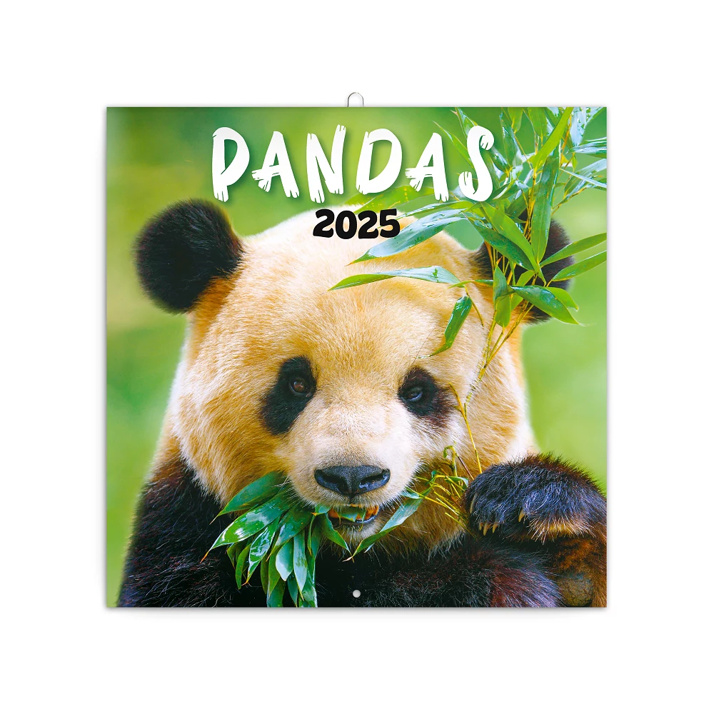 Falinaptár képes lemeznaptár 300x300mm, Pandas Realsystem 2026.