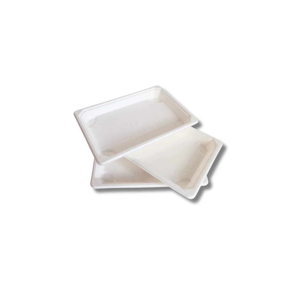 Papírtálca 185 x 128 x 20mm komposztálható cukornád 50 db/csomag